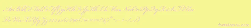 BickhamscriptstdSemibold Font – Pink Fonts on Yellow Background