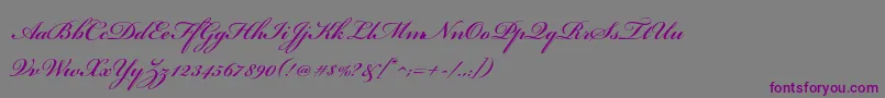 BickhamscriptstdSemibold Font – Purple Fonts on Gray Background