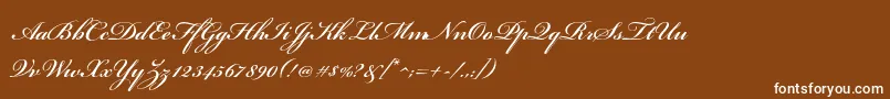 フォントBickhamscriptstdSemibold – 茶色の背景に白い文字