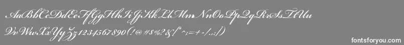 フォントBickhamscriptstdSemibold – 灰色の背景に白い文字