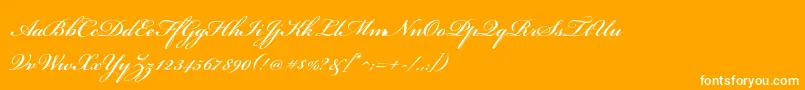 フォントBickhamscriptstdSemibold – オレンジの背景に白い文字