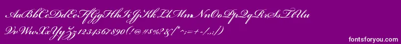 BickhamscriptstdSemibold Font – White Fonts on Purple Background