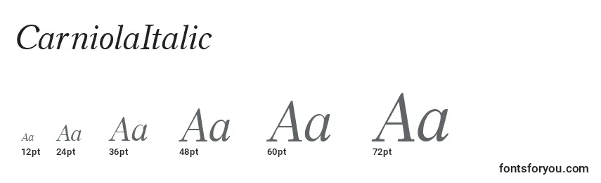 Размеры шрифта CarniolaItalic