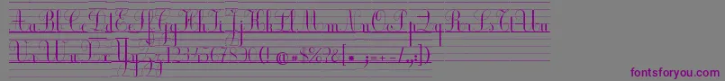 Шрифт EcolierLignesCourt – фиолетовые шрифты на сером фоне