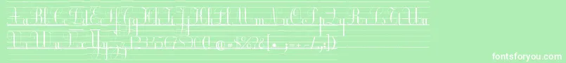 EcolierLignesCourt Font – White Fonts on Green Background