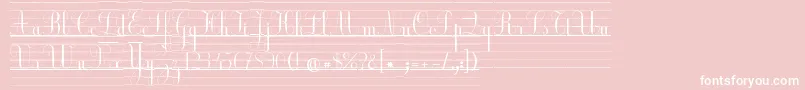 EcolierLignesCourt Font – White Fonts on Pink Background