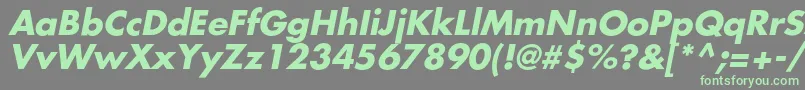 AgfatumcBolditalic-fontti – vihreät fontit harmaalla taustalla