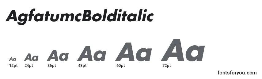 Размеры шрифта AgfatumcBolditalic