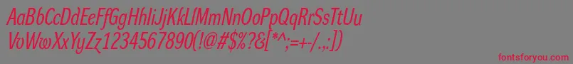 DynagroteskrcItalic Font – Red Fonts on Gray Background