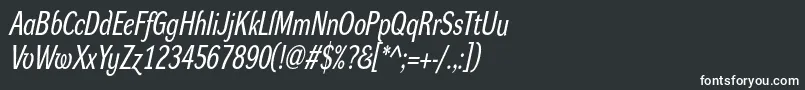 フォントDynagroteskrcItalic – 黒い背景に白い文字