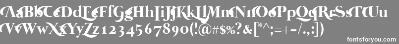 MermaidSwashCaps Font – White Fonts on Gray Background