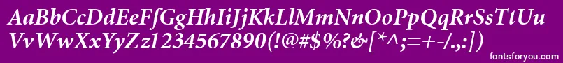 MiniatureBoldItalic Font – White Fonts on Purple Background