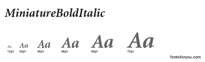 Размеры шрифта MiniatureBoldItalic