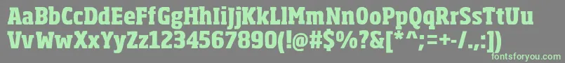 SohomaExtrabold-fontti – vihreät fontit harmaalla taustalla