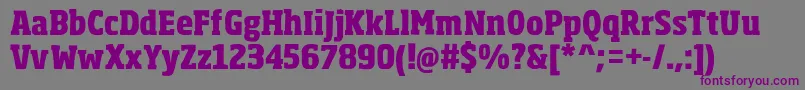 SohomaExtrabold-Schriftart – Violette Schriften auf grauem Hintergrund
