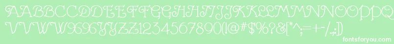 VillaMargarita Font – White Fonts on Green Background