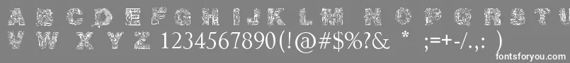 フォントIrasutoJiTruetype – 灰色の背景に白い文字