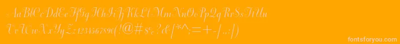 Dorchesterscriptmtstd Font – Pink Fonts on Orange Background