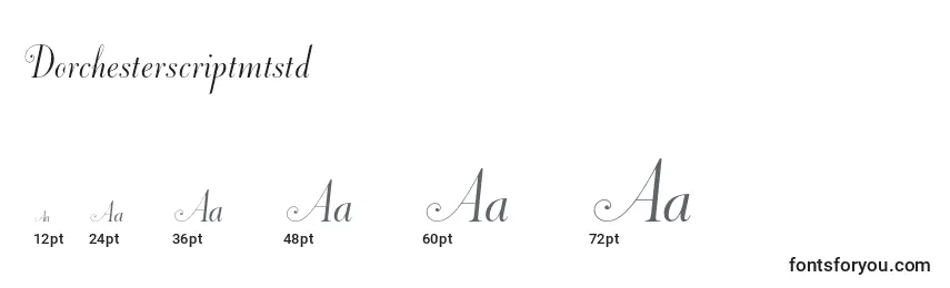 Dorchesterscriptmtstd Font Sizes
