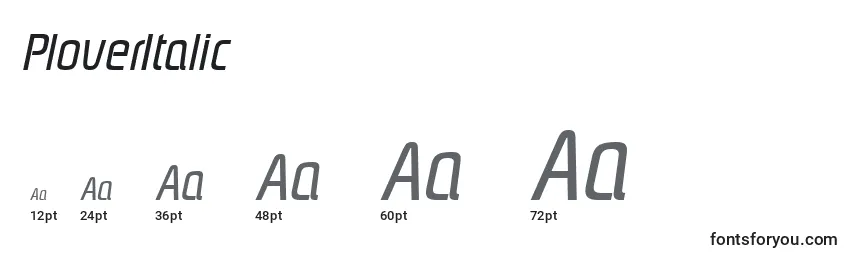 Размеры шрифта PloverItalic