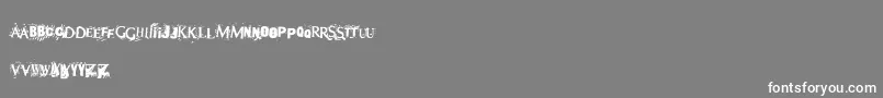 フォントTerror2005 – 灰色の背景に白い文字