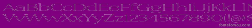 VivastdLightextraextended-Schriftart – Graue Schriften auf violettem Hintergrund
