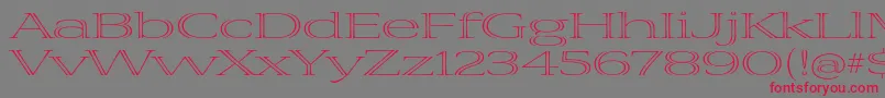 VivastdLightextraextended Font – Red Fonts on Gray Background