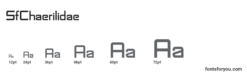 SfChaerilidae Font Sizes