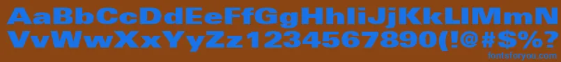 UniversLt93ExtraBlackExtended Font – Blue Fonts on Brown Background