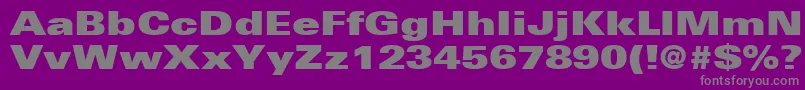 UniversLt93ExtraBlackExtended Font – Gray Fonts on Purple Background