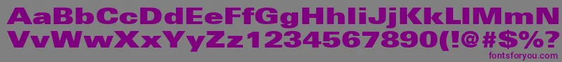 UniversLt93ExtraBlackExtended Font – Purple Fonts on Gray Background