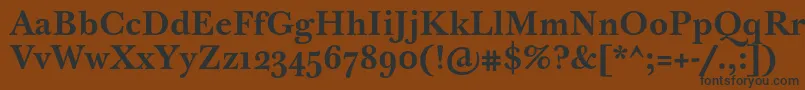 Czcionka BaskervilleTenProBold – czarne czcionki na brązowym tle