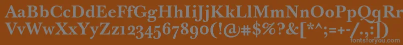 フォントBaskervilleTenProBold – 茶色の背景に灰色の文字