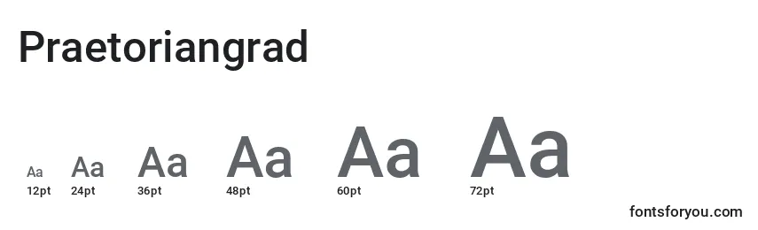 Размеры шрифта Praetoriangrad