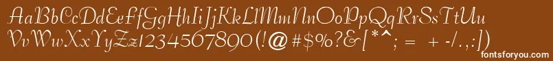 PetticoatScriptSsi Font – White Fonts on Brown Background