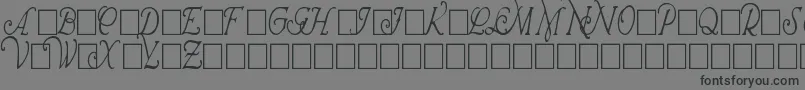 WrennInitialsCondensed-Schriftart – Schwarze Schriften auf grauem Hintergrund