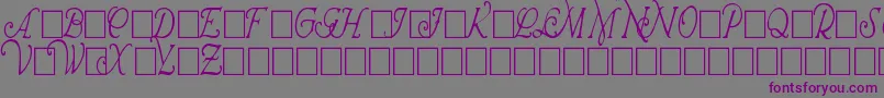 フォントWrennInitialsCondensed – 紫色のフォント、灰色の背景