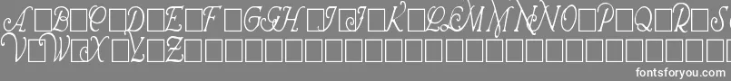 WrennInitialsCondensed-fontti – valkoiset fontit harmaalla taustalla