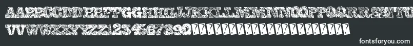 Collegescribble Font – White Fonts on Black Background