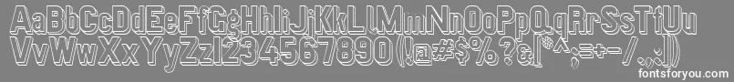 Preussischevi9ag2schattenlinie Font – White Fonts on Gray Background