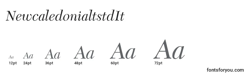 NewcaledonialtstdIt Font Sizes