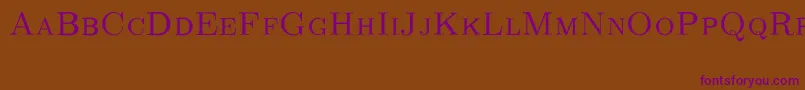 Czcionka CmRomancapsRegular – fioletowe czcionki na brązowym tle
