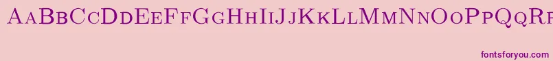 CmRomancapsRegular Font – Purple Fonts on Pink Background