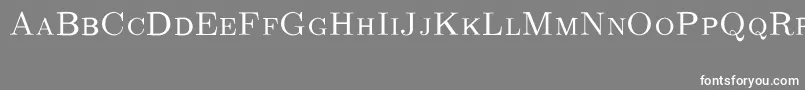 フォントCmRomancapsRegular – 灰色の背景に白い文字