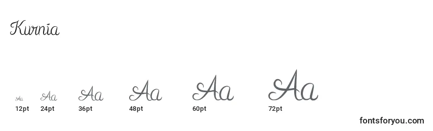 Размеры шрифта Kurnia