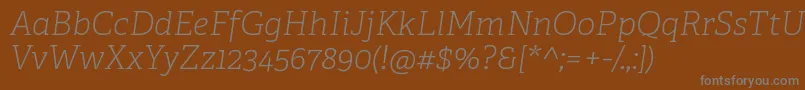 AdelleCyrillicThinItalic Font – Gray Fonts on Brown Background