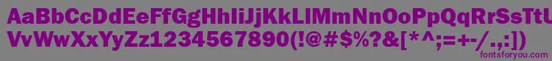 Franklingothheavygtt-fontti – violetit fontit harmaalla taustalla