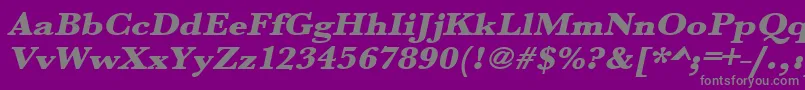 UrwbaskertultbolextwidOblique Font – Gray Fonts on Purple Background