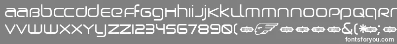 Birdman Font – White Fonts on Gray Background