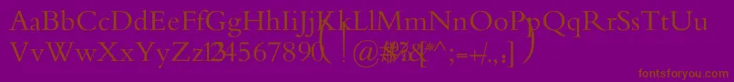 MotkenAlRafidainArt Font – Brown Fonts on Purple Background